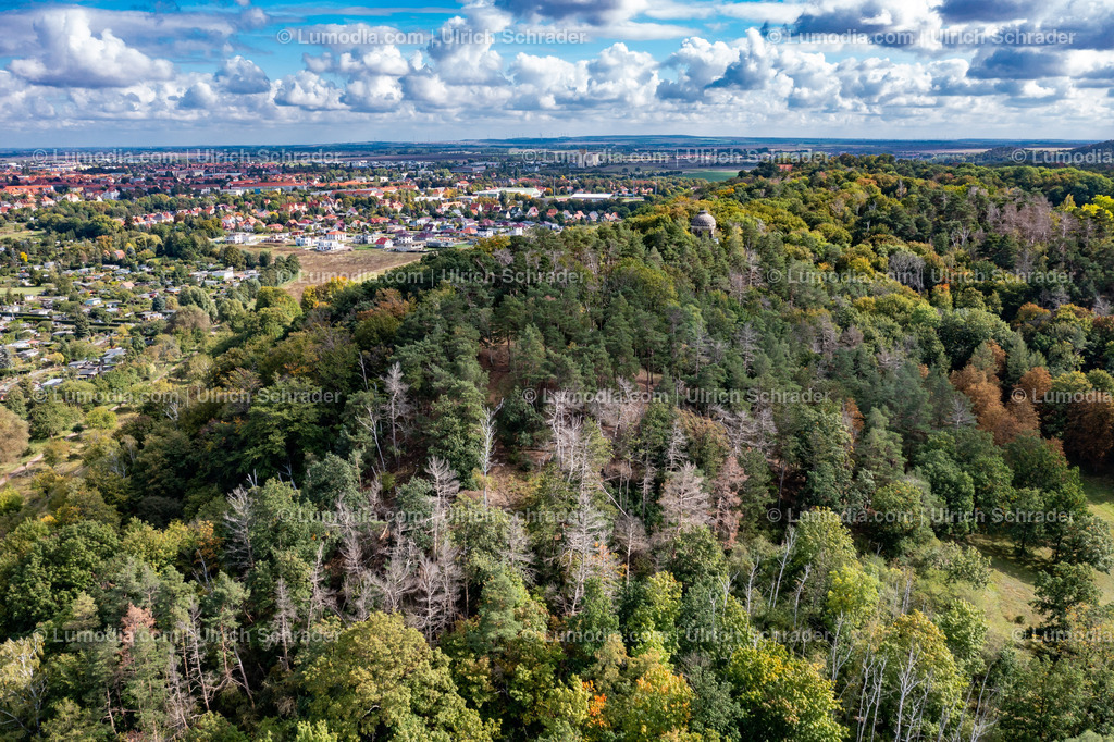 10049-51386 - Blick von den Spiegelsbergen auf Halberstadt | Stockfoto und Bilderpool mit Bildmaterial aus Deutschland, dem Harz, Halberstadt, Quedlinburg, Wernigerode und weltweit. Qualitativ hochwertige und professionelle Fotos anschauen und kaufen. - Realisiert mit Pictrs.com