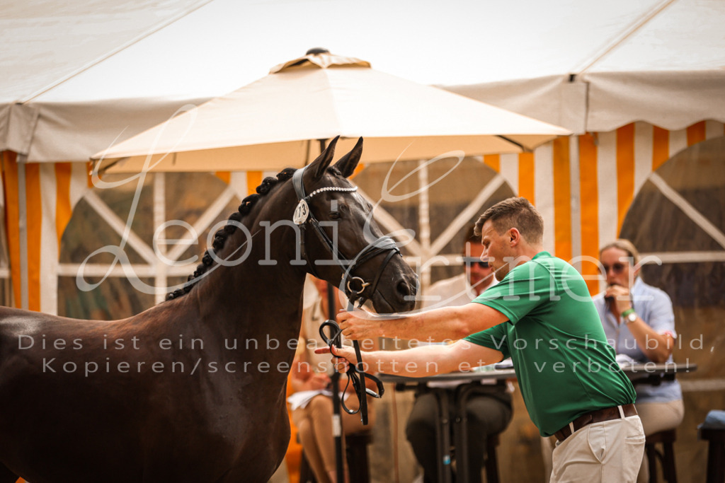 12.So00002 | Leoni Ertmer Photography - Realisiert mit Pictrs.com