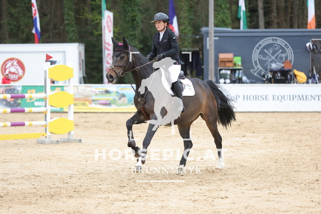 0P6A4214 | Willkommen bei Brunnmayr - Design & Fotografie – Ihrem Spezialisten für Reitturniere und Pferdeveranstaltungen in Oberösterreich, Salzburg und Bayern! Seit über 17 Jahren sind wir leidenschaftlich dabei.