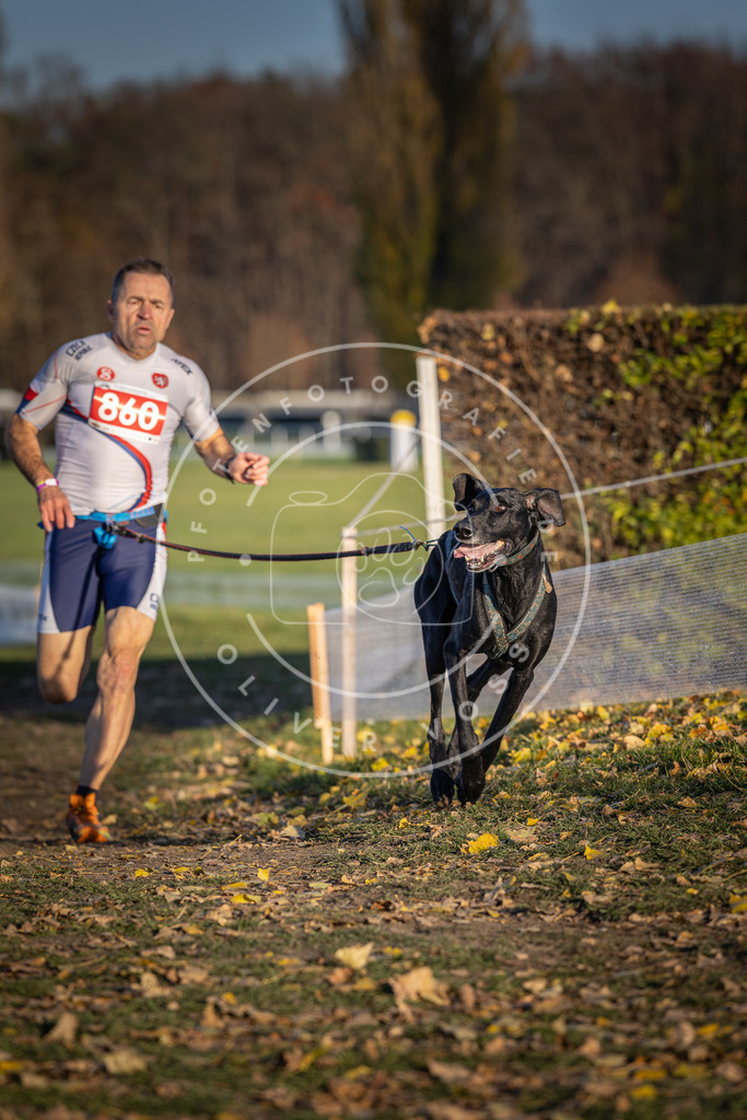 CaniXpix_DV3A4033 | Hundefotografie, Tierfotograf, Pfotenfotografie, Fotoshooting Hund, Hunde Portrait, Hundesport, Hundeportraits, Heideshooting, Hunde, Sportfotograf, Hundefotograf, Turnierhundsport, THS,  - Realisiert mit Pictrs.com