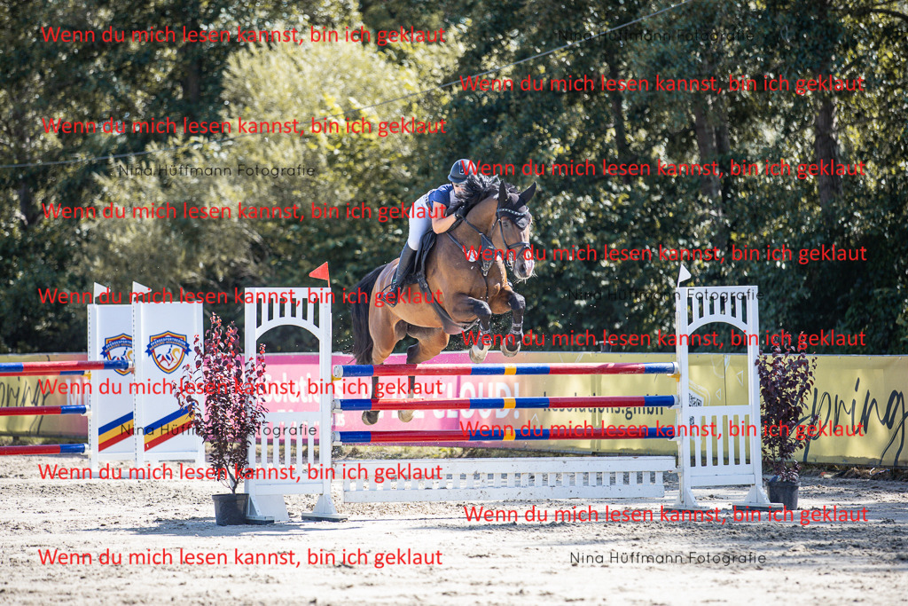 BK1A6961 | Turnierbilder Turnierfotos Nina Hüffmann Turnierfotografie Pferdefotografie Tierzeichnung Haustierzeichnung Pferdezeichnung Hundezeichnung Videograf  - Realisiert mit Pictrs.com