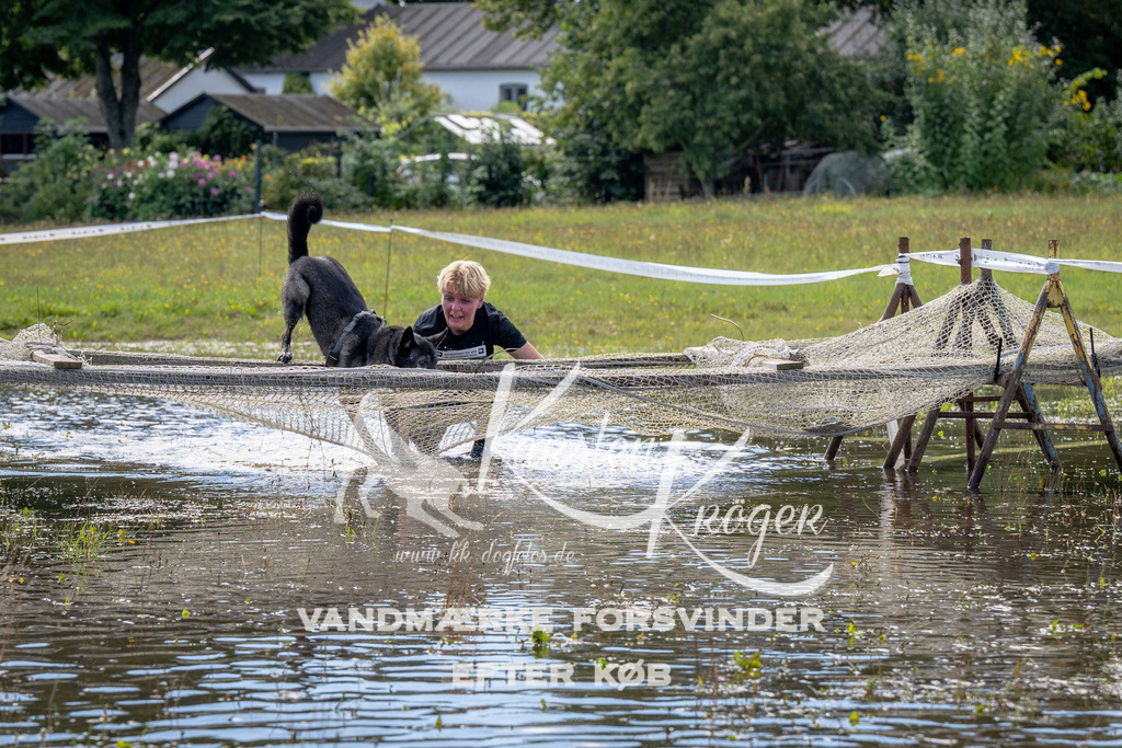 1237_ZZ91064 | kk-dogfotos