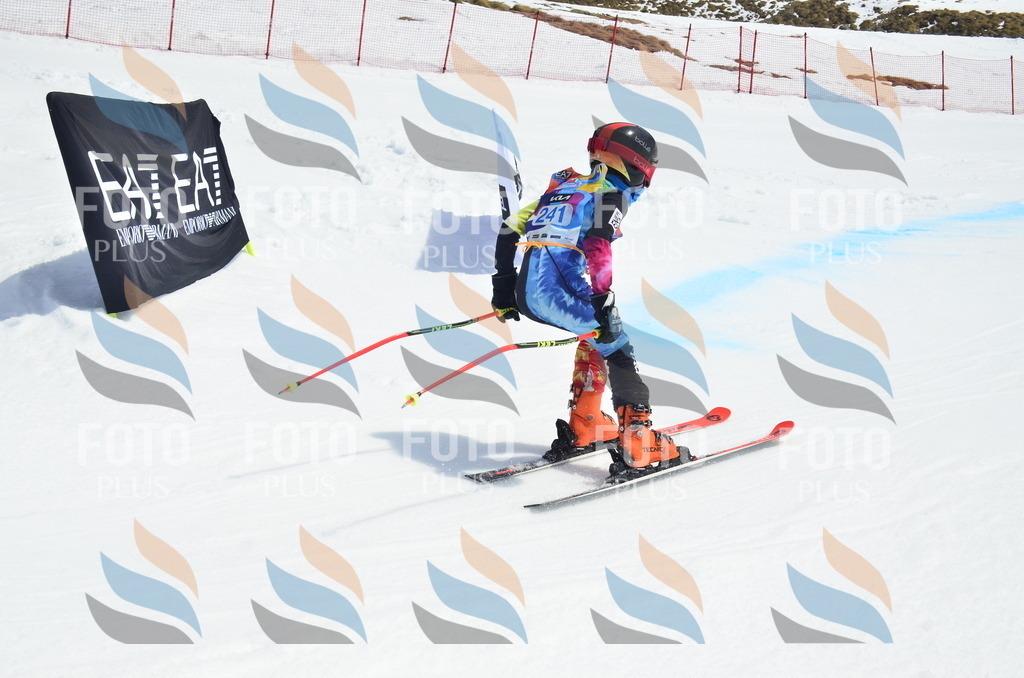 _ELE1743 | holidayphoto