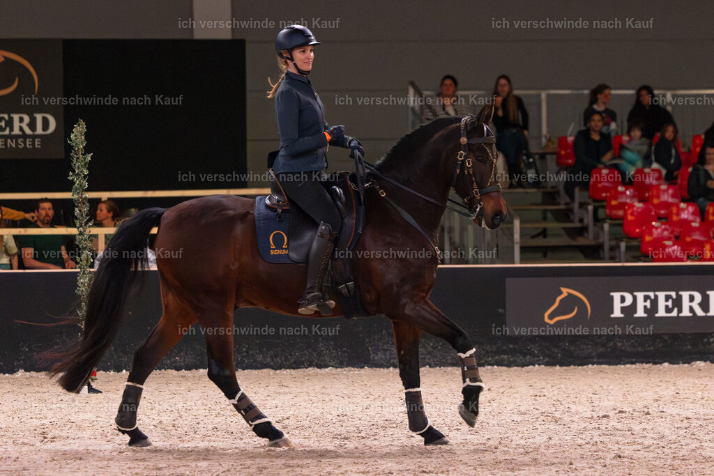 JoseraCup-81 | working equitationturnier fotograf videograf stoibphotography marixx film working equitation deutschland reitsport turnierfotografie eventfotografie equestrian events