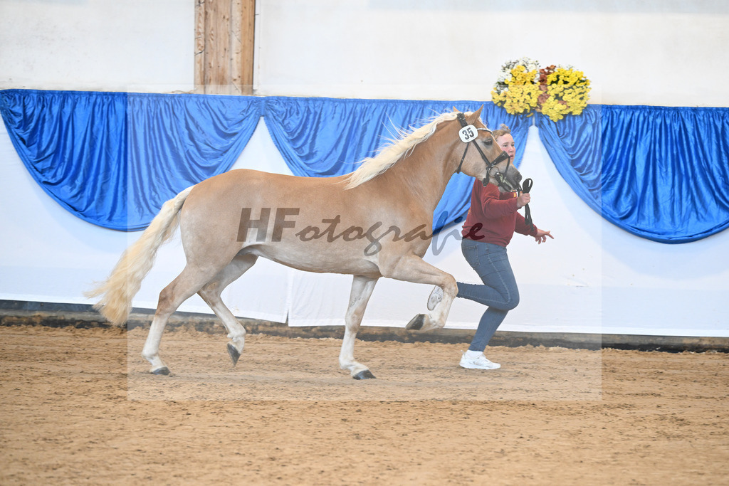 Kat-Nr. 35 nn v. Bugatti_Friedrich_48250823 | hf-fotografie - Realisiert mit Pictrs.com