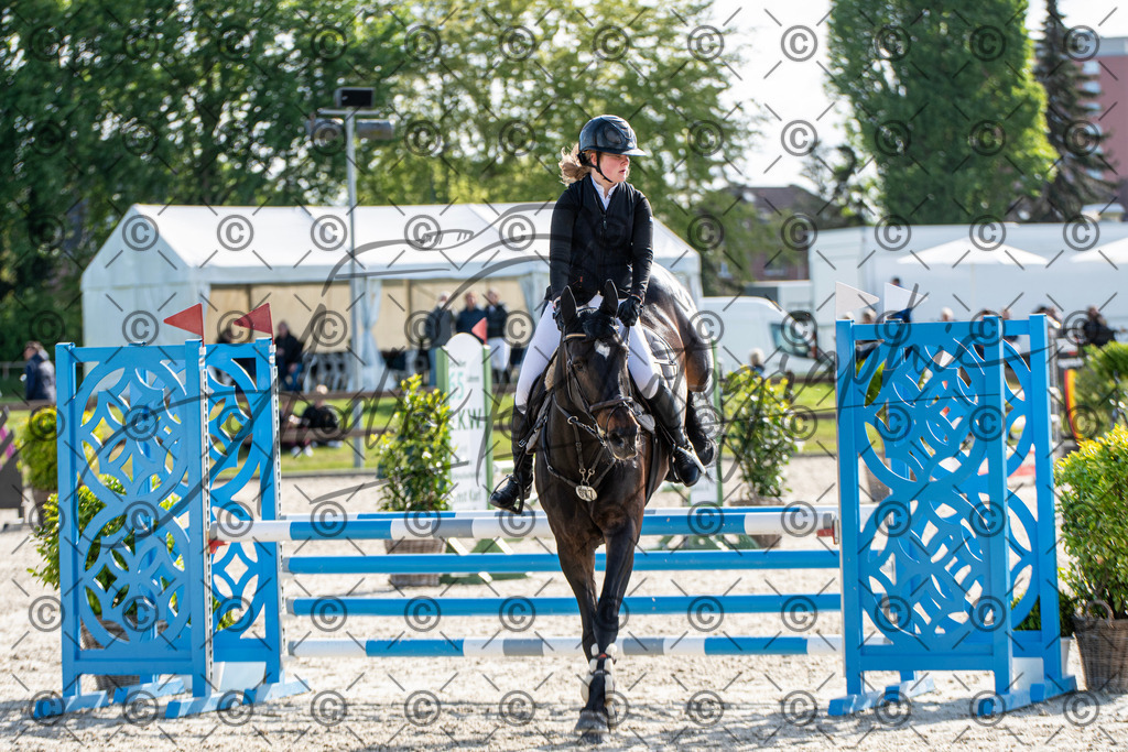 KPT_4560 | andre_photographic