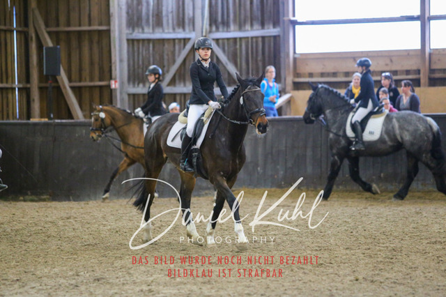 IMG_1579 | Turniersportfotografie; Pferdefotografie; Dressurfotografie
