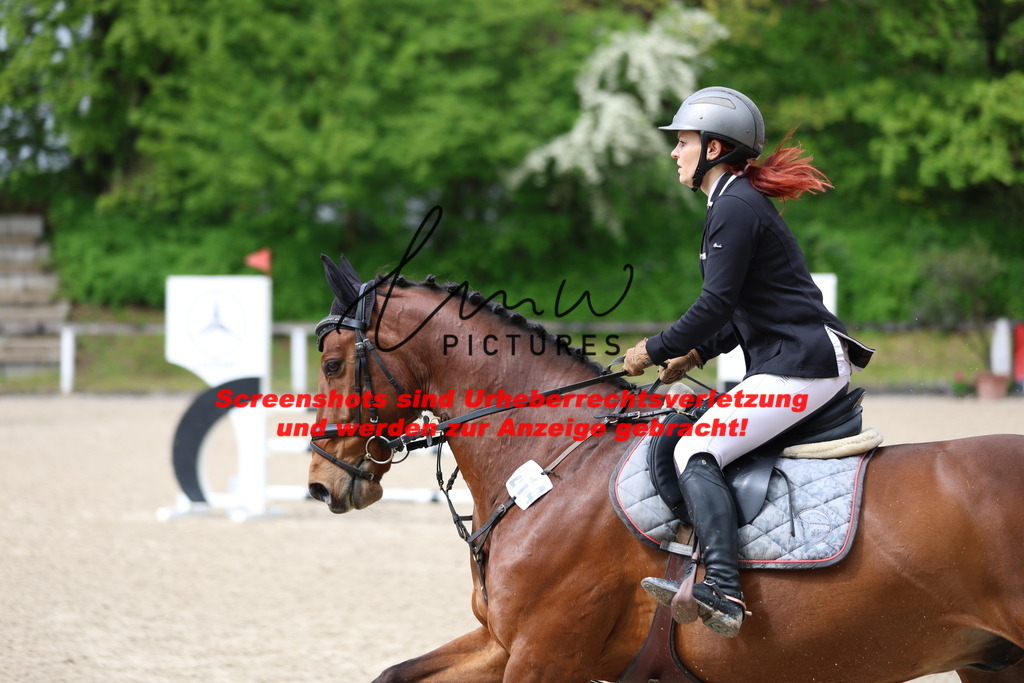 A40A1376 | lmwpictures - Realisiert mit Pictrs.com