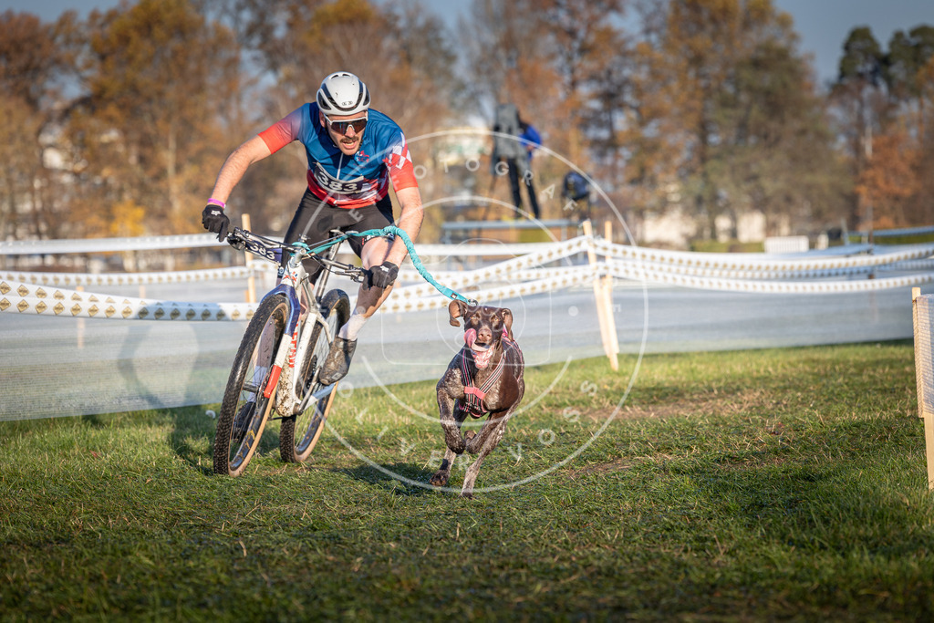 CaniXpix_0L8A3780 | Hundefotografie, Tierfotograf, Pfotenfotografie, Fotoshooting Hund, Hunde Portrait, Hundesport, Hundeportraits, Heideshooting, Hunde, Sportfotograf, Hundefotograf, Turnierhundsport, THS,  - Realisiert mit Pictrs.com
