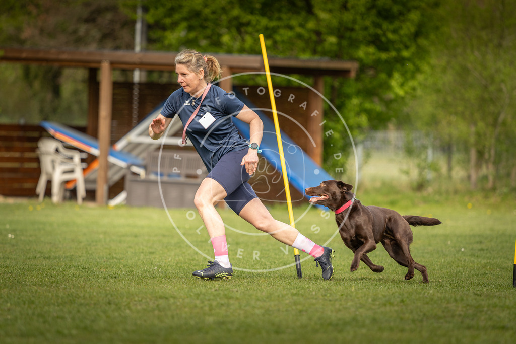 Pfotenfotografie_DV3A5322 | Hundefotografie, Tierfotograf, Pfotenfotografie, Fotoshooting Hund, Hunde Portrait, Hundesport, Hundeportraits, Heideshooting, Hunde, Sportfotograf, Hundefotograf, Turnierhundsport, THS,  - Realisiert mit Pictrs.com