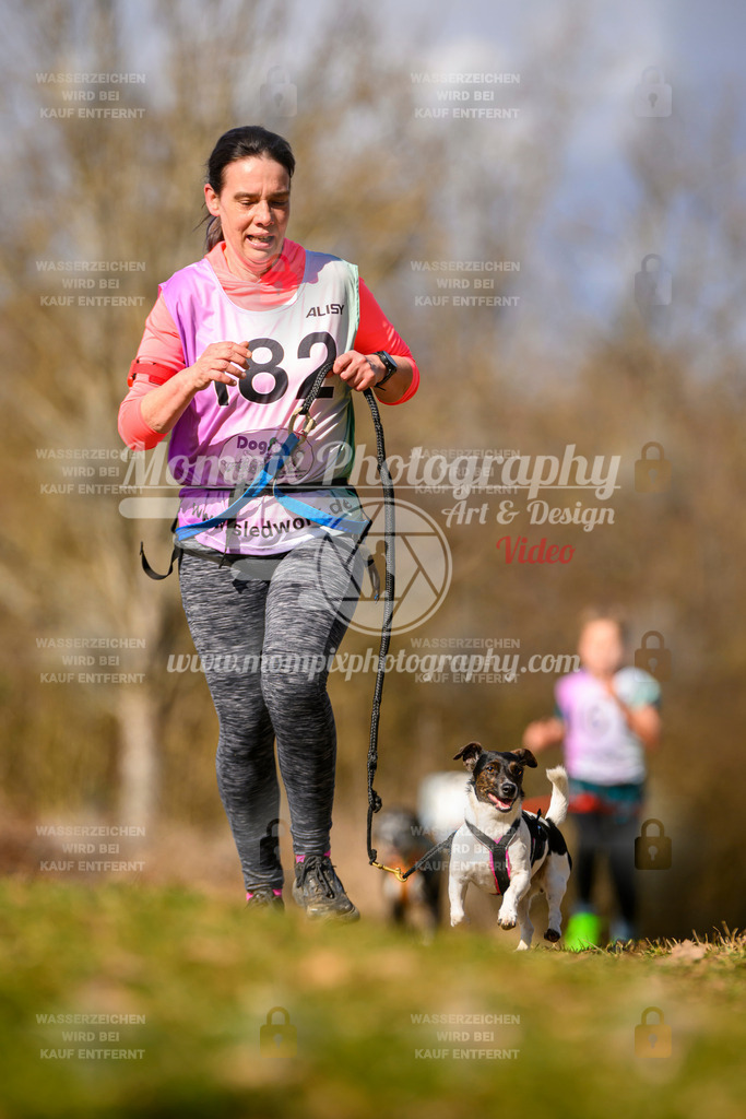 MompixPhotography_10Schwabentrail2026_SO_Canicross-119 | PayLife