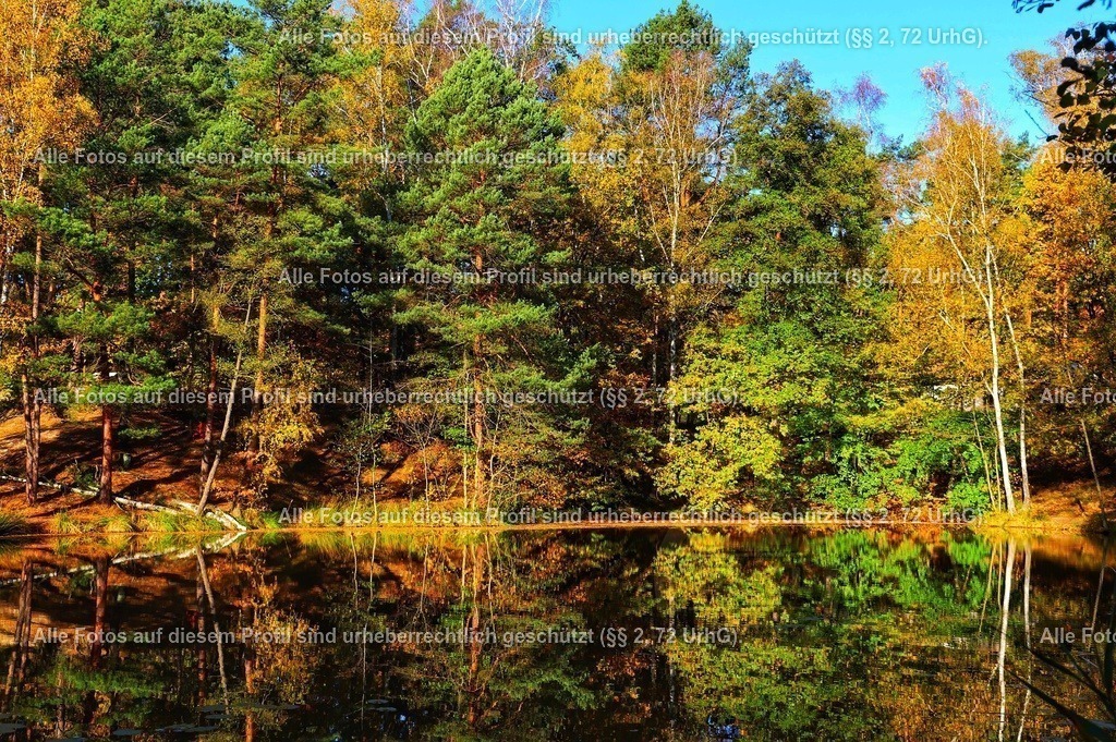 eZy Watermark_29-10-2021_03-48-53PM-01 | krollfotografie - Realisiert mit Pictrs.com