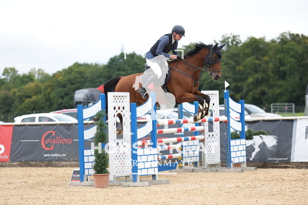 0P6A8164 | Willkommen bei Brunnmayr - Design & Fotografie – Ihrem Spezialisten für Reitturniere und Pferdeveranstaltungen in Oberösterreich, Salzburg und Bayern! Seit über 17 Jahren sind wir leidenschaftlich dabei.