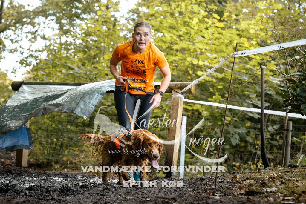 1415DZ6_1297Z6 | kk-dogfotos