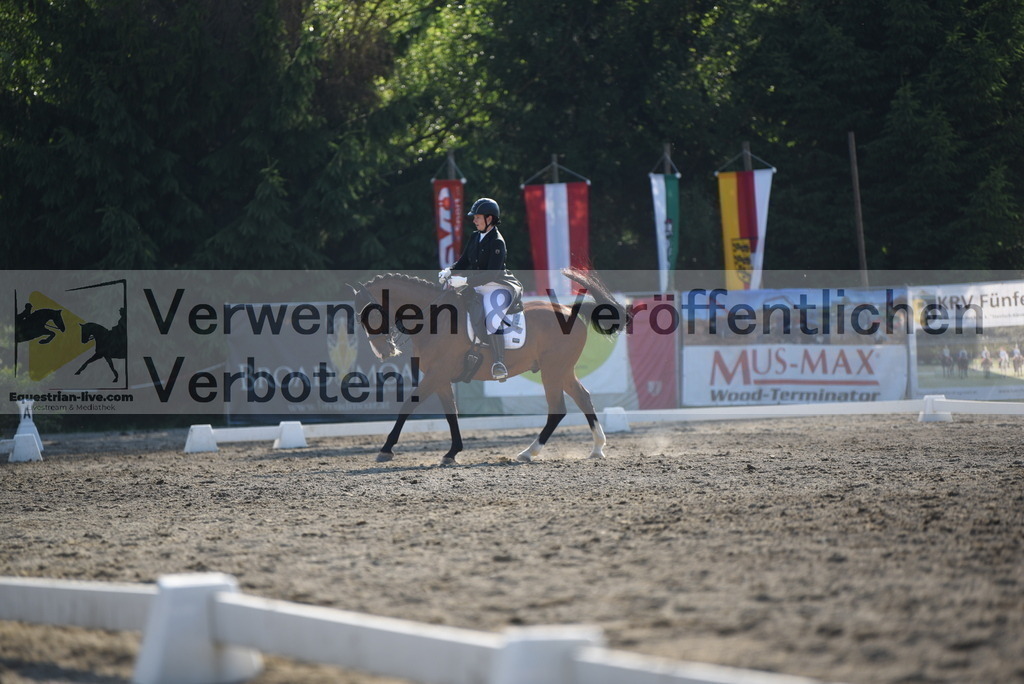 DSC_3109 | equestrian-live-com