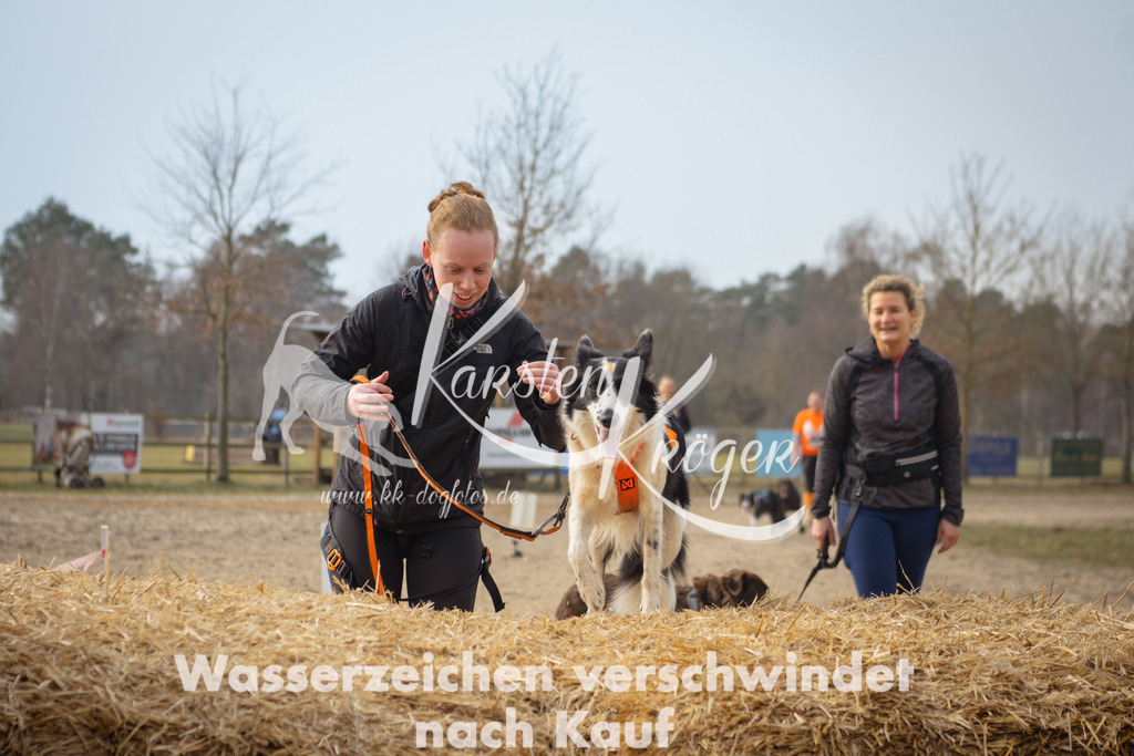 1050_ZZ99983 | kk-dogfotos