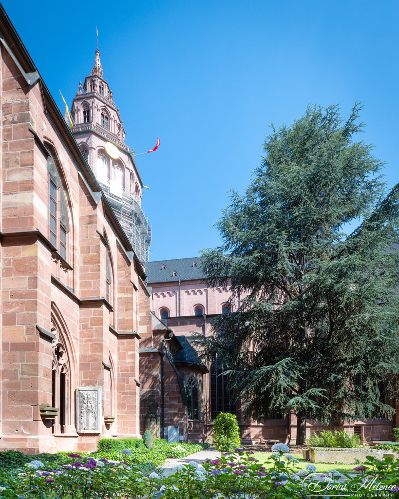 _DSC1553 | Fotografien, Fotos und Bilder aus Mainz, Frankfurt, Wiesbaden und anderen Orten auf der Welt - Fotografiert von Darius Metzner