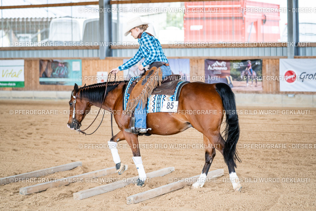 DSC08166 | Pferdegrafie