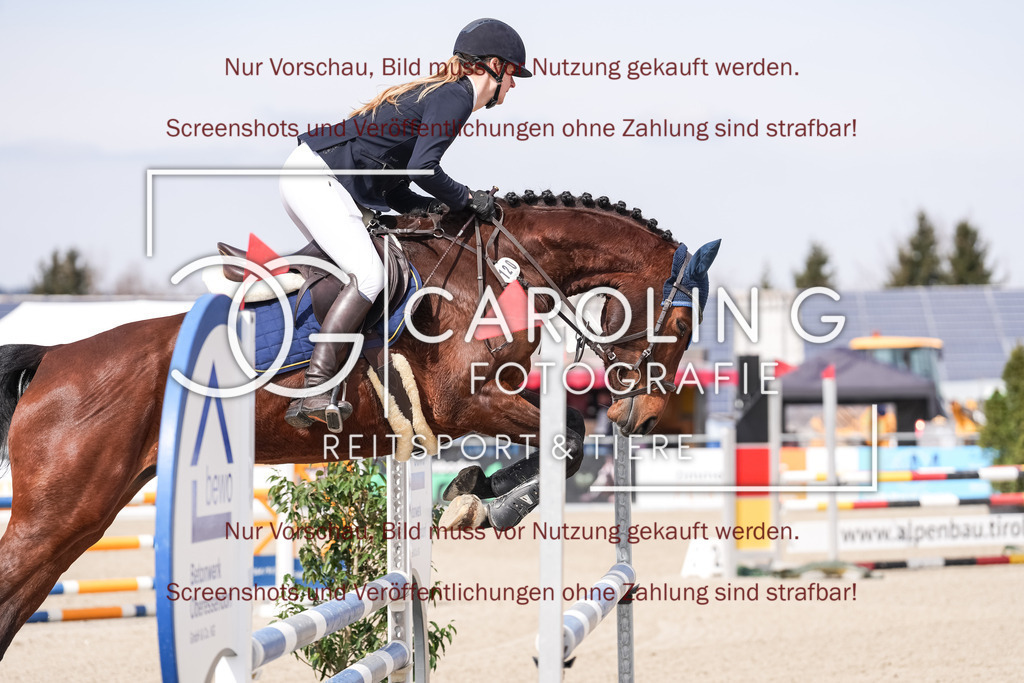 DSC05743 | Late_entry_Springturnier_Bad_Wurzach, Casadora-Lady_LT, Tatjana_Löw