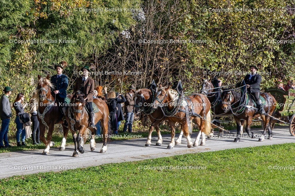 LBT24-696 | foto-bettina-krinner - Realisiert mit Pictrs.com