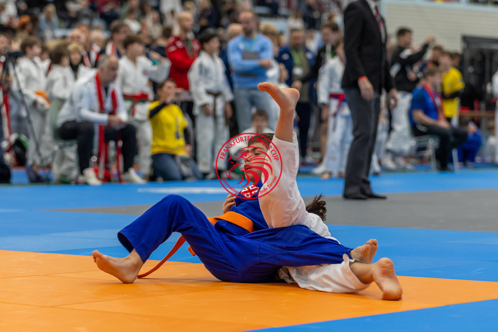 Internationaler Adler Cup 2024 | Foto vom Internationalen Adler Cup Judo Turnier im Sport- und Freizeitzentrum Kalbach im Oktober 2024 - Realisiert mit Pictrs.com