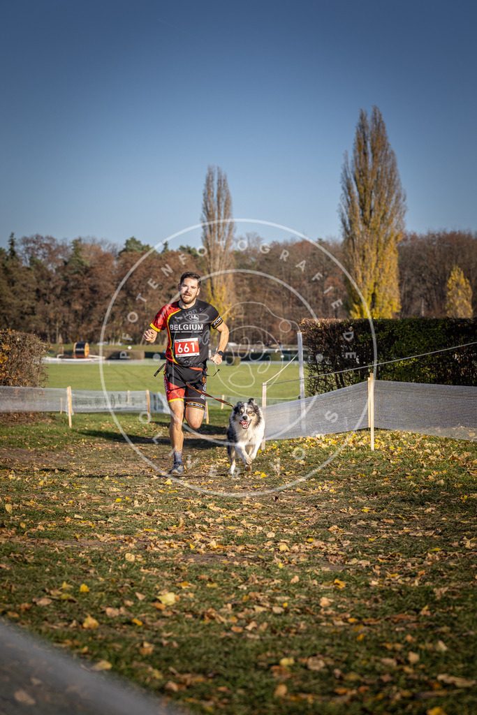 CaniXpix_DV3A0676 | Hundefotografie, Tierfotograf, Pfotenfotografie, Fotoshooting Hund, Hunde Portrait, Hundesport, Hundeportraits, Heideshooting, Hunde, Sportfotograf, Hundefotograf, Turnierhundsport, THS,  - Realisiert mit Pictrs.com