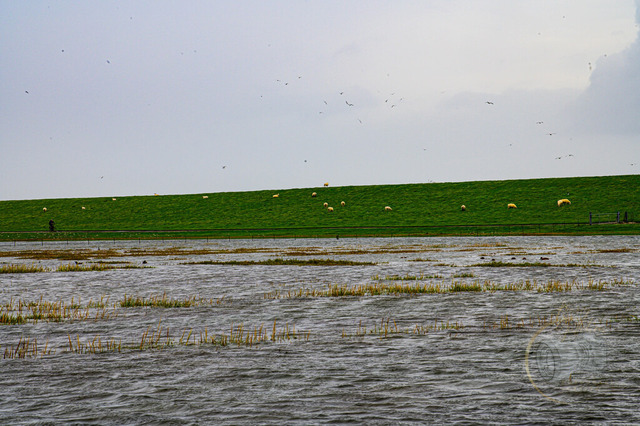 _DSC3014-2 | Shop für Prints Landschaftsfotografie Sächsische Schweiz Naturfotografie in Thüringen Fotos vom Findlingspark Nochten Kloster Sankt Marienstern Bilder Festung Königstein PanoramaRhododendronpark Kromlau FotogalerSchleswig-Holstein Küstenlandschaften