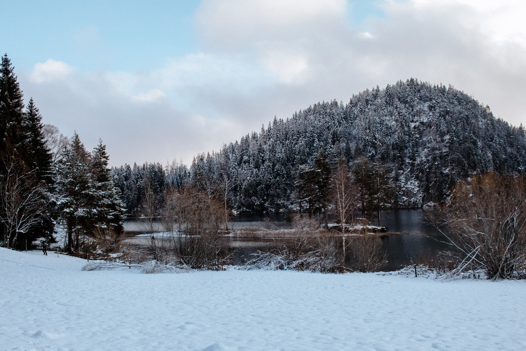 IMG_3541 | Print Shop 
Fotografie
Posterdruck
Landschaftsfotografie
Reisefotografie
Naturfotografie
Anja Brandes Poster 
Anja Brandes Photography 
Prints for Walls 
Printable 
Posterdrucke
Poster aesthetic 
Poster Wall 
Poster Prints 
Poster schwarz weiß - Realisiert mit Pictrs.com