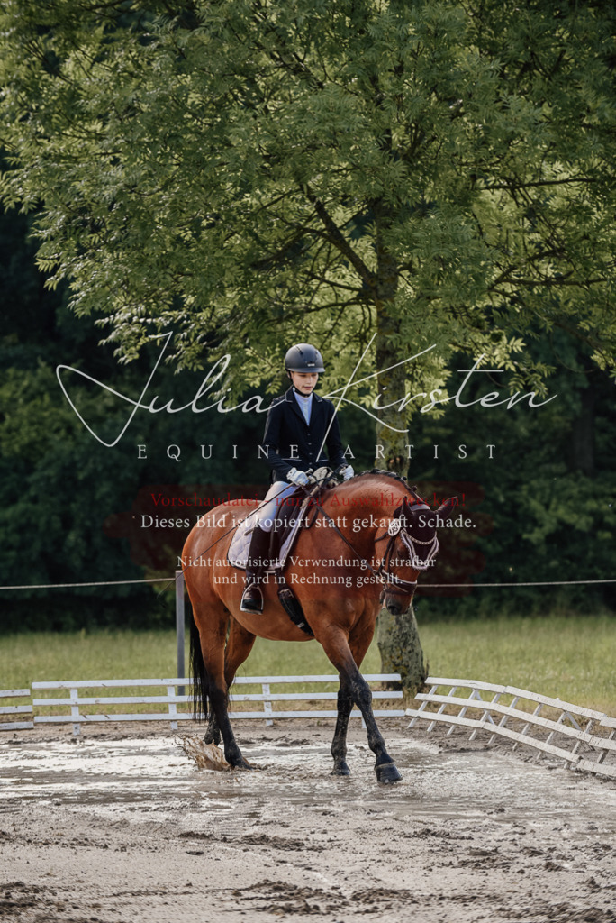DSC_8126 | Pferde- und Turnierfotografie in Westsachsen. Pferdeportraits, Auftragszeichnungen und intuitive Kunst.