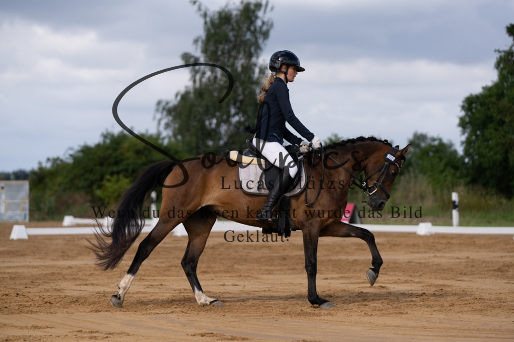 A7V05196 | Pferdefotograf