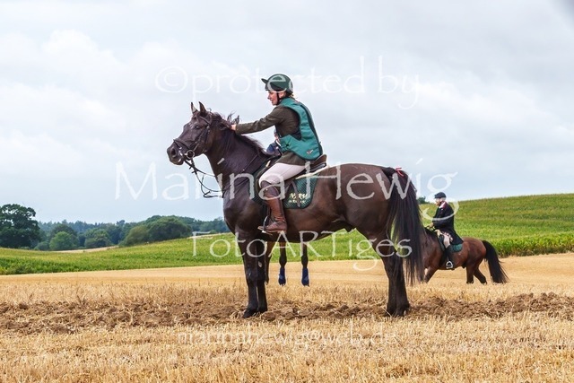Jagd Knoop 26_MarinaHewigMCH02354 | Fotografie, FotoArt, PferdesportArt, Pferdesportfotografie, Landschaftsfotografie, Reisefotografie, Reise, Pferde - Realisiert mit Pictrs.com