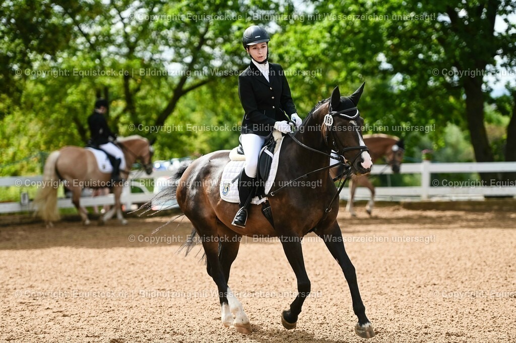20230716_10-1_Reiter-WB Schritt - Trab - Galopp_0127 | equistock