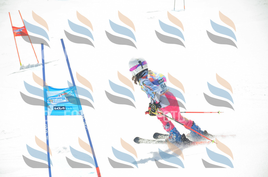 _ELE5717 | holidayphoto