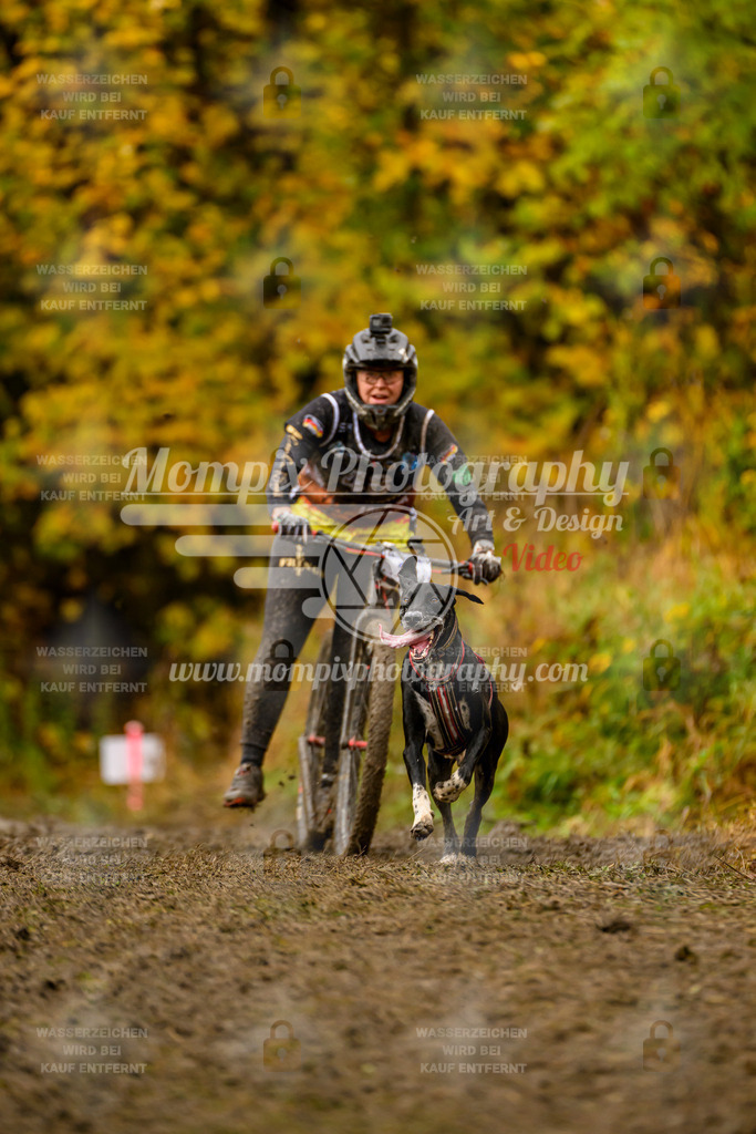 MompixPhotography_ICF_WC_2024_SA_DS_-106 | PayLife