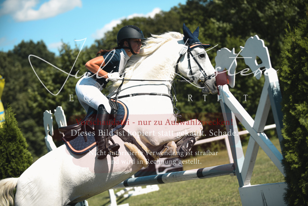 DSC_7271 | Pferde- und Turnierfotografie in Westsachsen. Pferdeportraits, Auftragszeichnungen und intuitive Kunst.