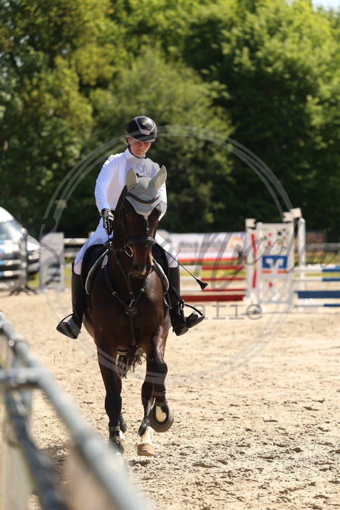 994A5664 | sabrinanicolaifotografie - Realisiert mit Pictrs.com