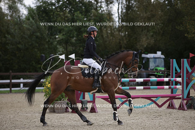 1J2A1814Sophie Kessel_ Universe 10_ Kn954_ Havekost | Foto- und Videografie für alles rund ums Pferd. Hochwertige Bilder und Videos vom Spring- und Dressurreiten, Voltigieren & mehr. Jetzt aktuelle Veranstaltungen und Preise im Shop ansehen. - Realisiert mit Pictrs.com