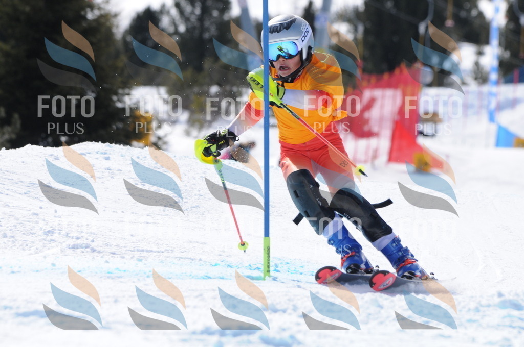 C9048 | holidayphoto