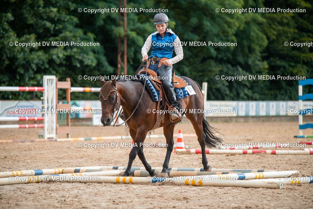 ZS2_7374 | dv-media-shop - Realisiert mit Pictrs.com