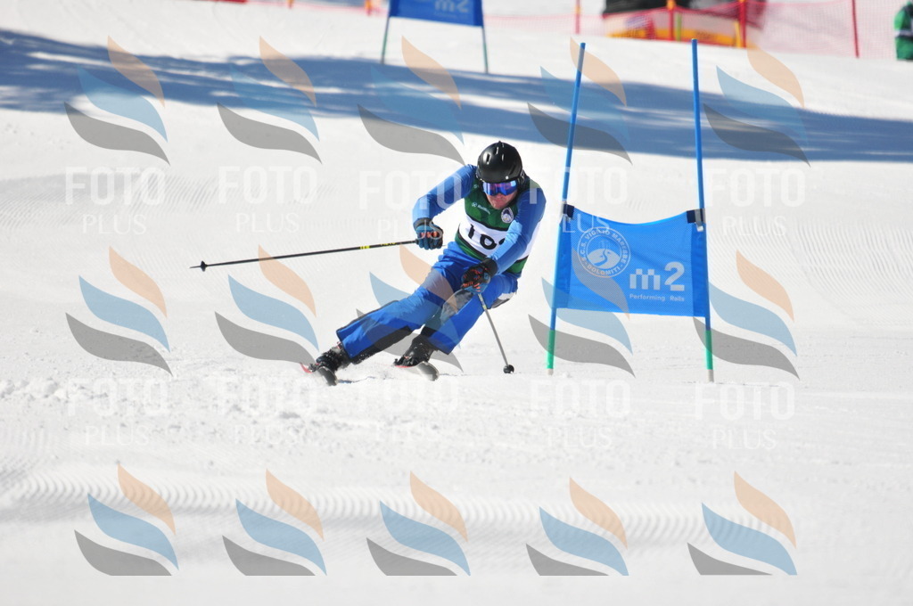 C4362 | holidayphoto