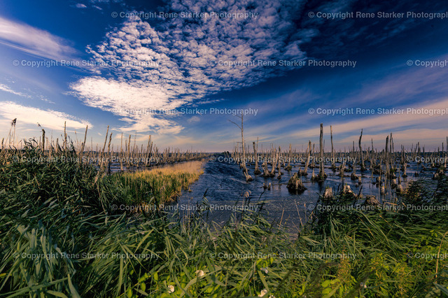 NZ6_6504 | Hochzeiten, Familien, Paare, Portraits, Kinder, Shooting, Bad-Neuenahr, Ahrweiler, Bonn, Meckenheim, Fotograf, Grafschaft - Realisiert mit Pictrs.com