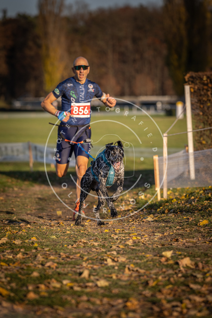 CaniXpix_DV3A3964 | Hundefotografie, Tierfotograf, Pfotenfotografie, Fotoshooting Hund, Hunde Portrait, Hundesport, Hundeportraits, Heideshooting, Hunde, Sportfotograf, Hundefotograf, Turnierhundsport, THS,  - Realisiert mit Pictrs.com