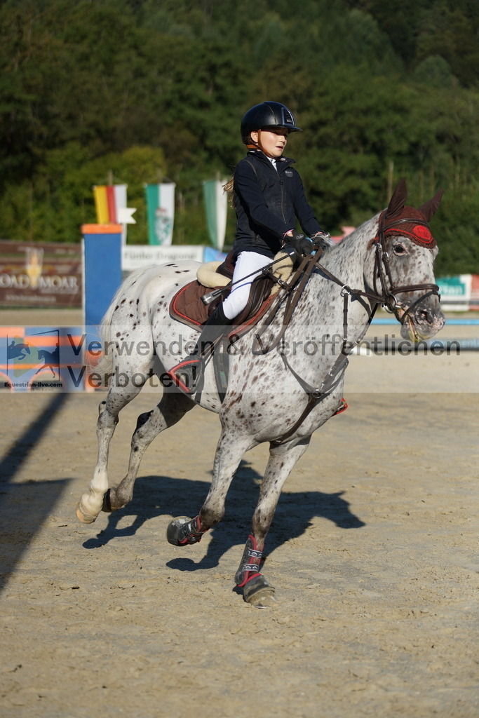 DSC09472 | equestrian-live-com