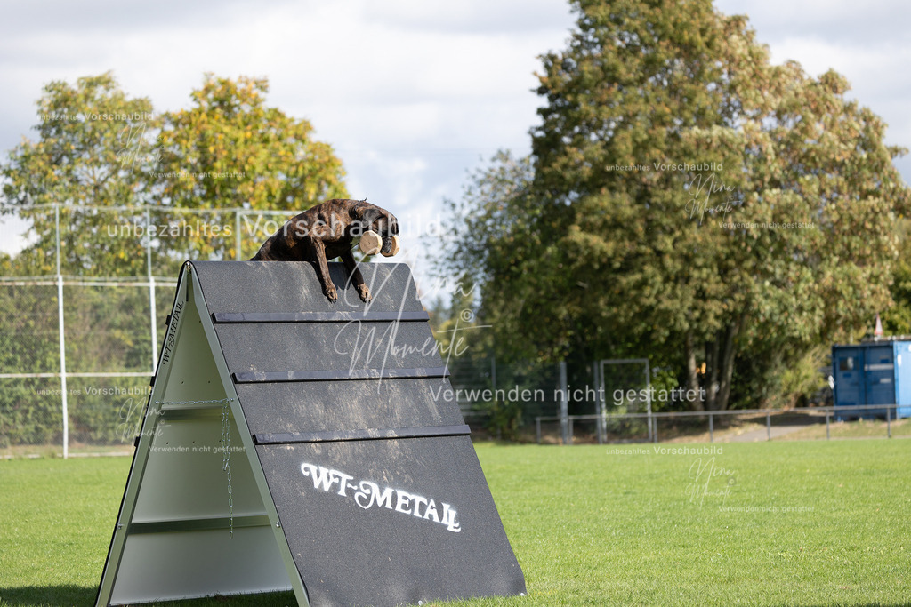_16A6864 | Einzigartige Fotos von Hunden & Menschen –Actionfotos, Portraits, Vereinsaufnahmen & Paarshootings – authentisch, lebendig & mit Herz.