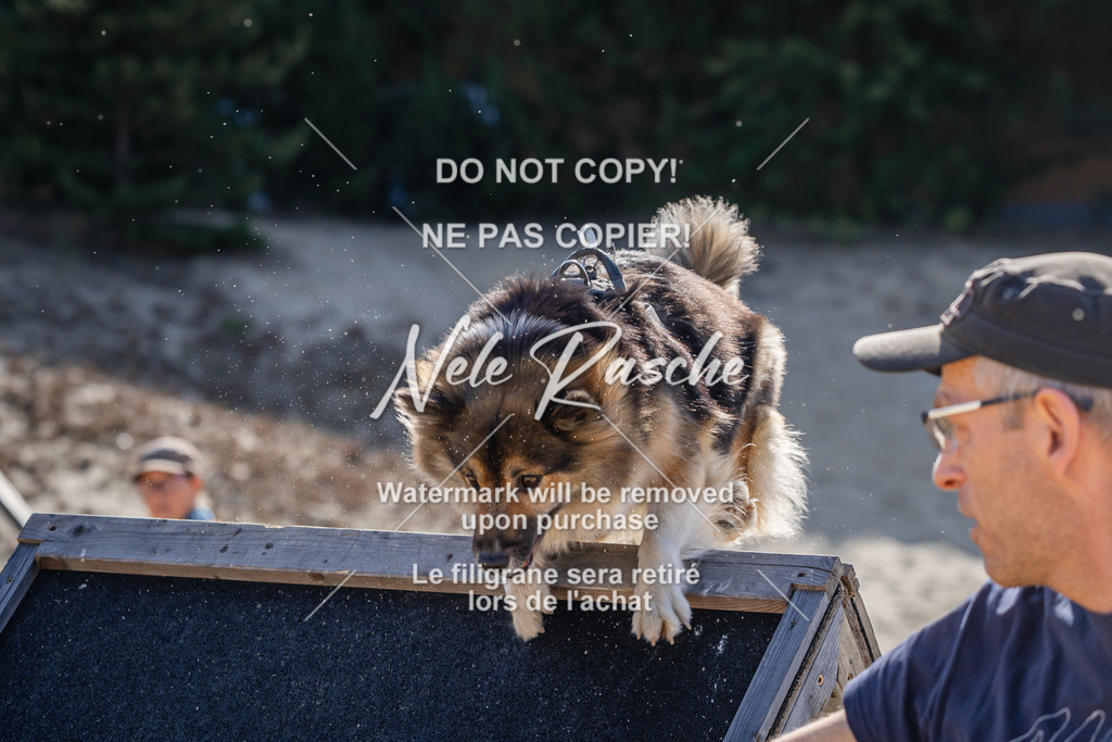 nelerasche_saBeachility_218 | nelerasche