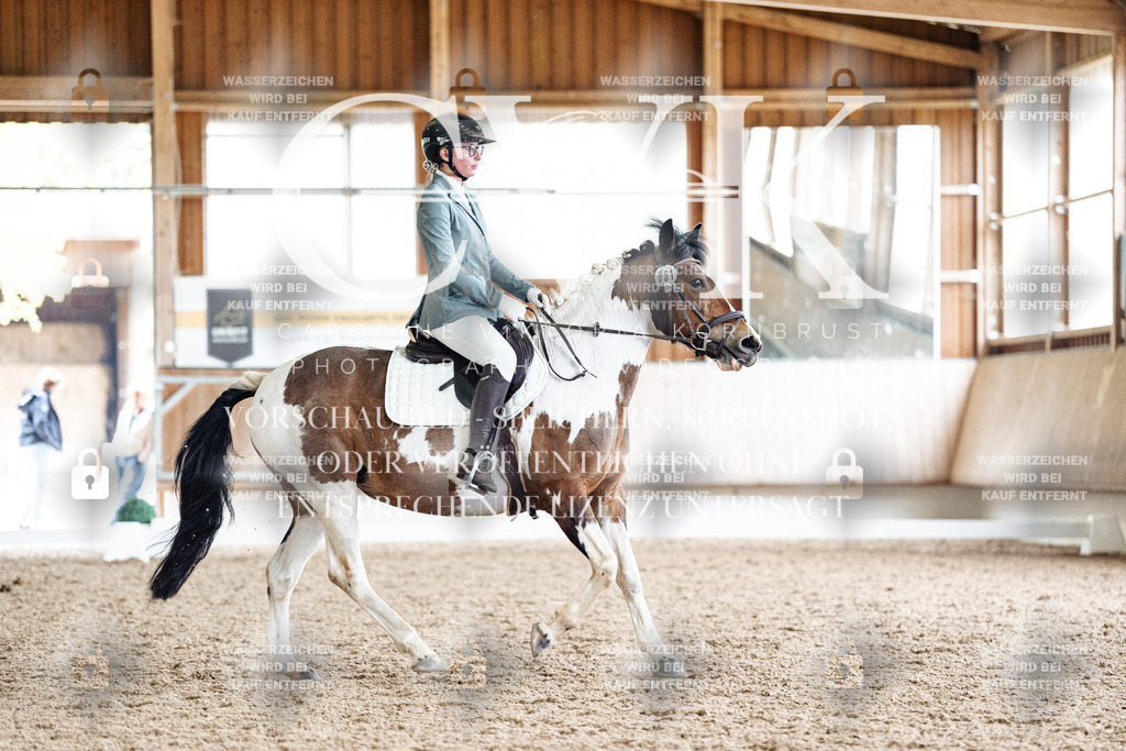 CK901078 | Turnierfotografie Pferdefotografie Trier Rheinland-Pfalz Pferdesport Reitsport Tierfotografie Sportfotografie Pferdevideo Pferdevideografie Equestrianvideography equestrianphotography  - Realisiert mit Pictrs.com