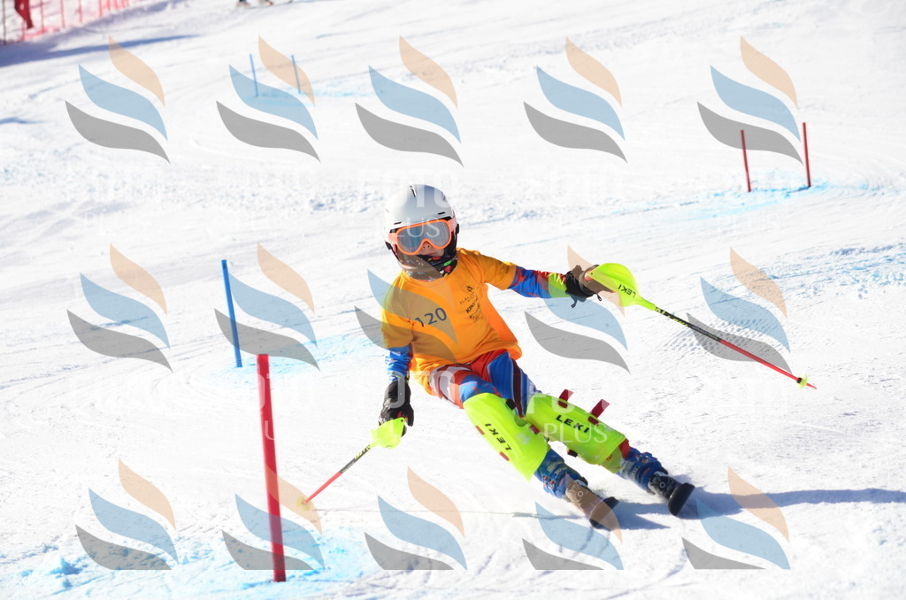 C6356 | holidayphoto