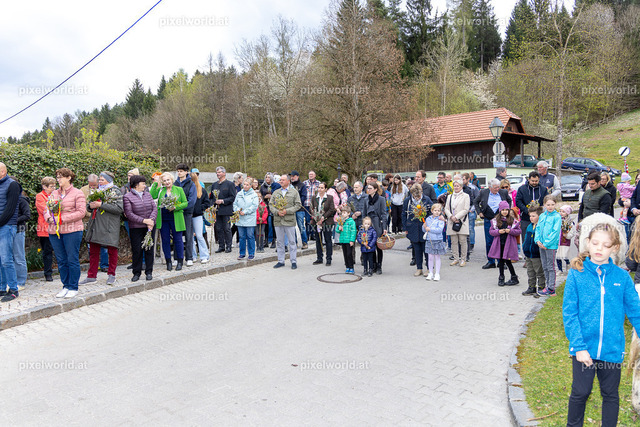 Palmweihe in Glanhofen | Bildershop von pixelworld.at - Realisiert mit Pictrs.com