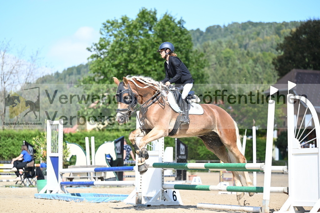 DSC_8282 | equestrian-live-com