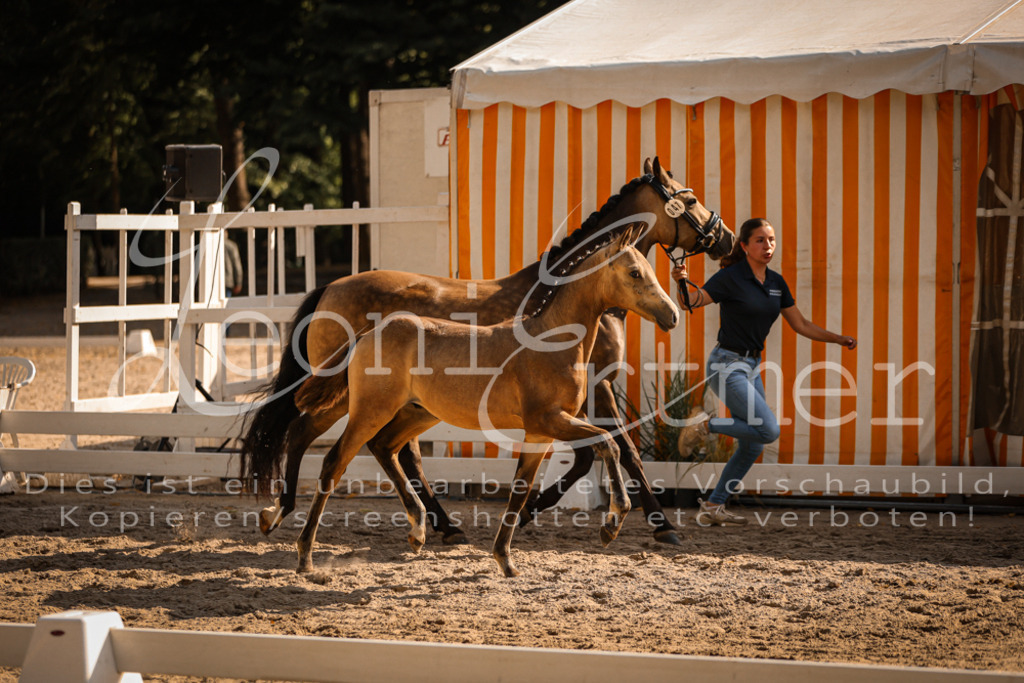 11.DoRP00017 | Leoni Ertmer Photography - Realisiert mit Pictrs.com